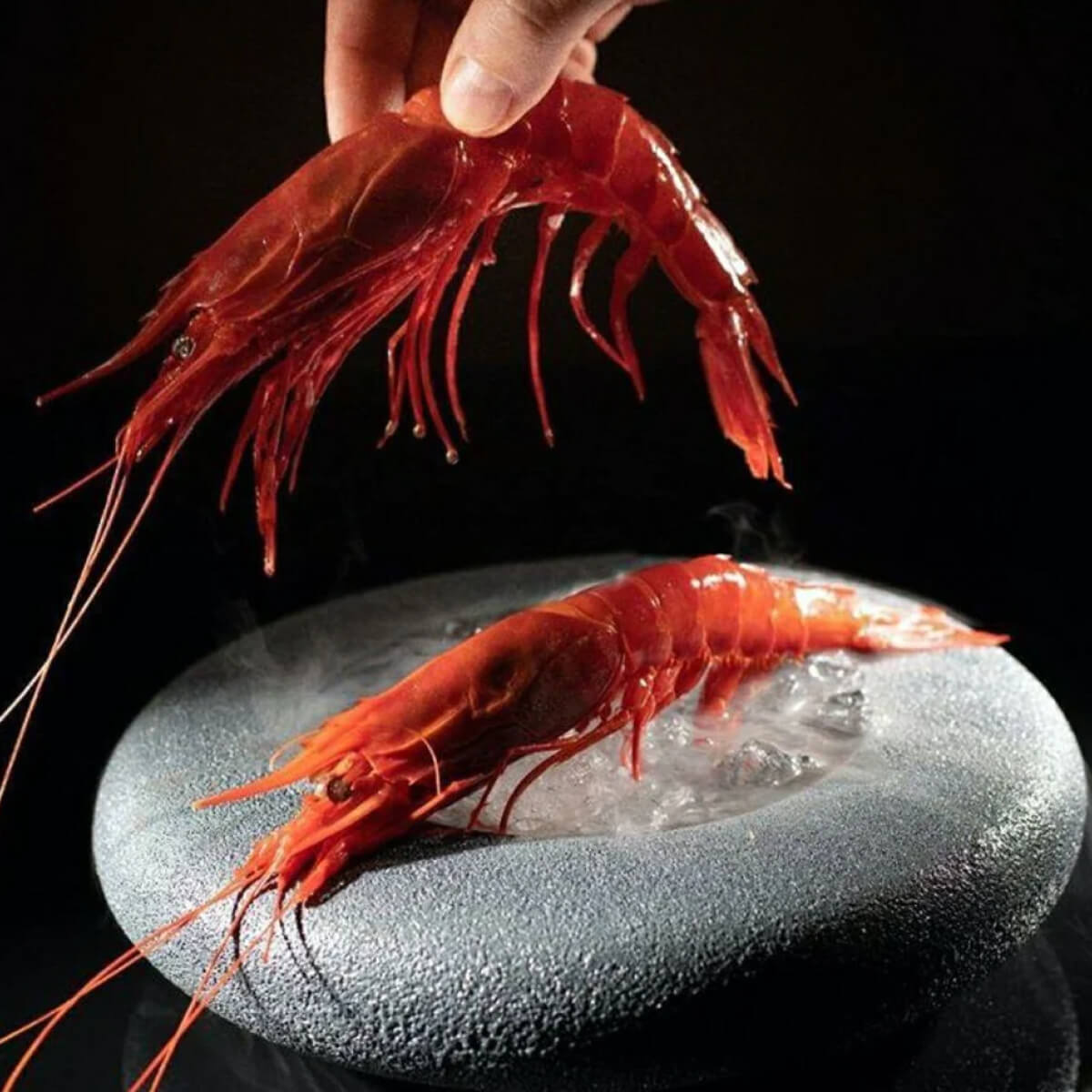 Tôm Carabineros là món ăn thượng phẩm